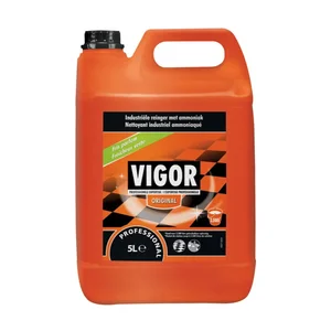 Allesreiniger (Vigor)