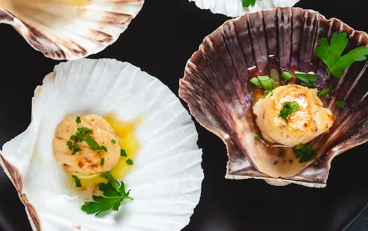 Japanse coquilles