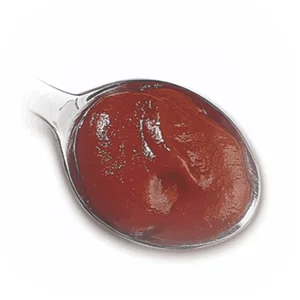 Martinosaus (Delino)